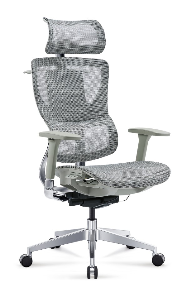 Ergotex  TD-A-G